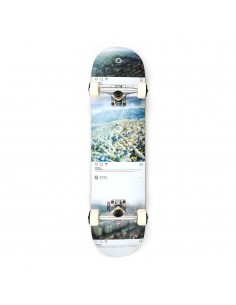 Globe G2 Sprawl 8.0"