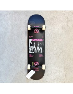 Globe G2 Ramones 8.0"
