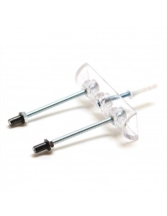 Sk8ology Présentoir Single...