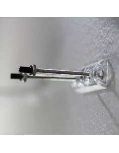 Sk8ology Présentoir Single... 2