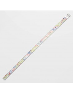 Ceinture Volcom Sam Ryser... 2